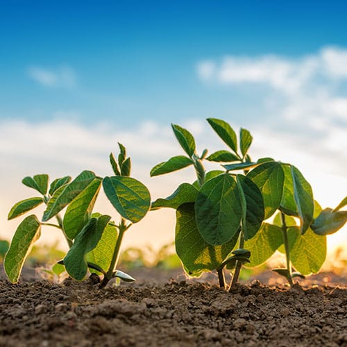 Grow personal and interpersonal skills for enabling change